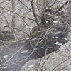 2008年3月　吹雪きの阿古谷