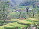 くわがた村　2007年3月バリ島